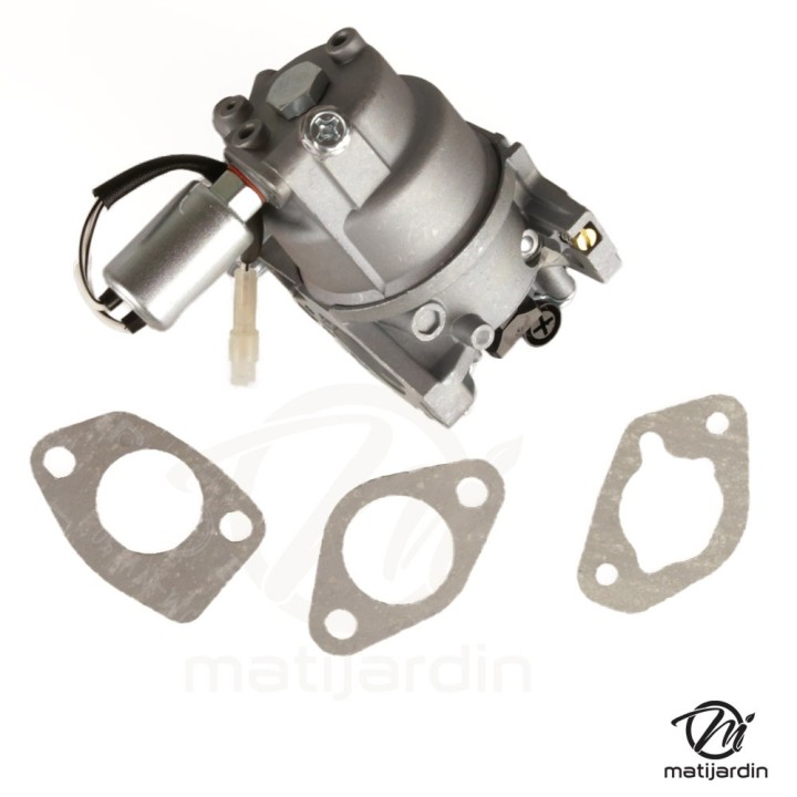 Carburateur de remplacement pour moteur MTD 7T84HWA – 382 cc