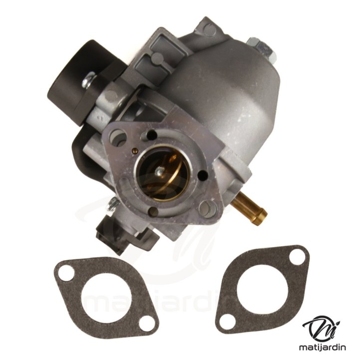 Carburateur de remplacement pour moteur FJ180V