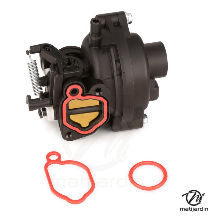Carburateur pour Briggs & Stratton, remplaçant 09P700, 591109