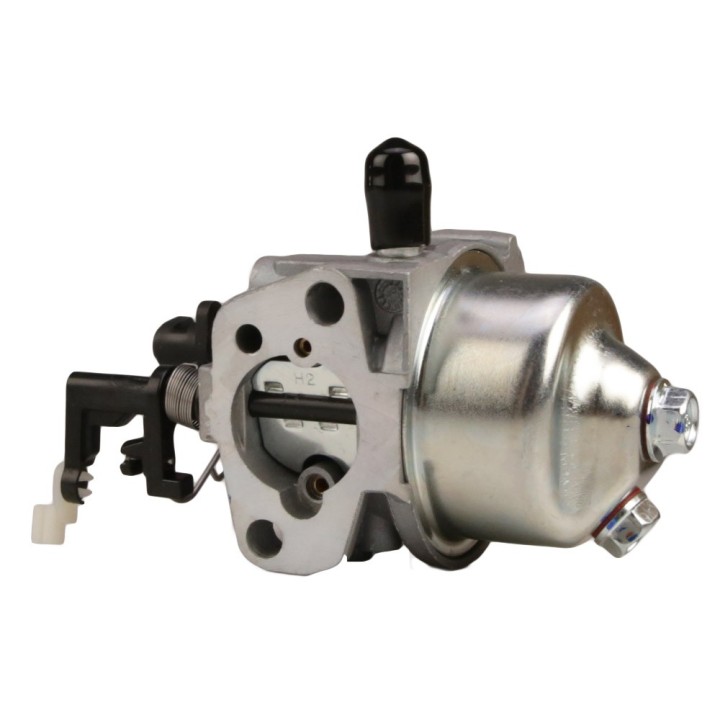 Carburateur complet pour moteur RV170-S