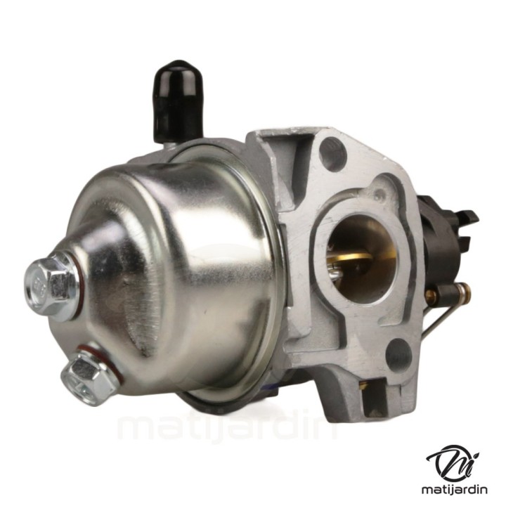 Carburateur complet pour moteur RV170-S