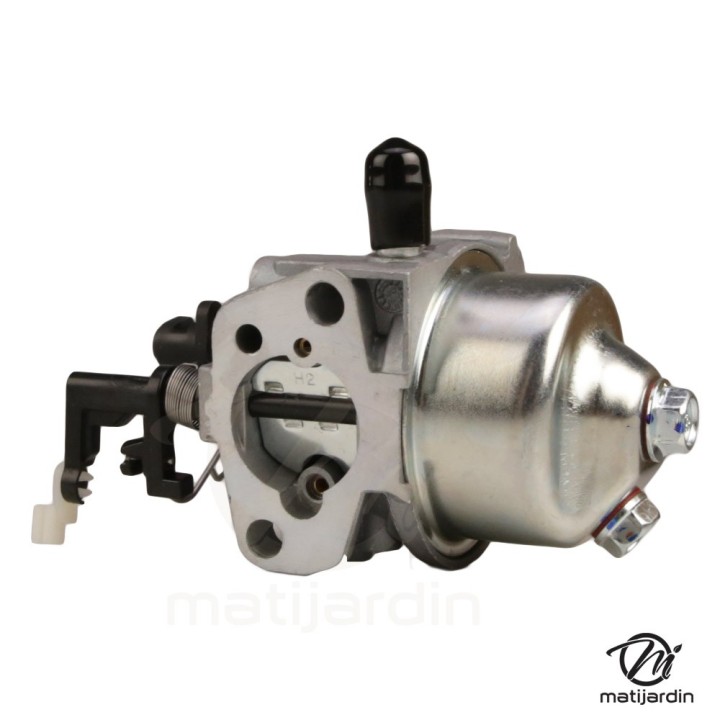 Carburateur complet pour moteur RV170-S