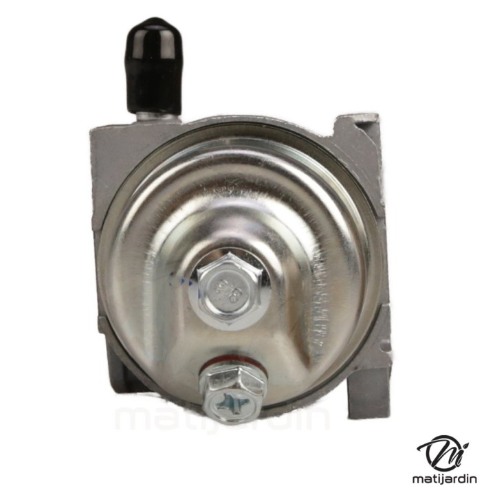 Carburateur complet pour moteur RV170-S