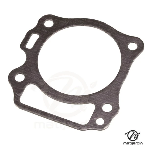 Joint de culasse pour moteur RV170-S