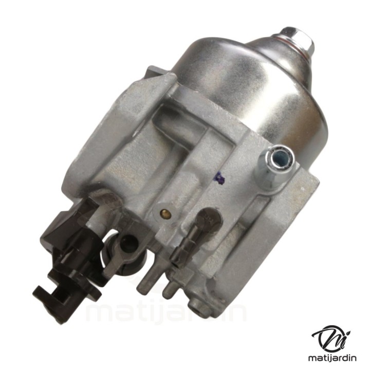 Carburateur complet pour moteur RV145-S