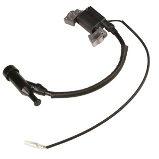 Bobine d'allumage pour moteur R210