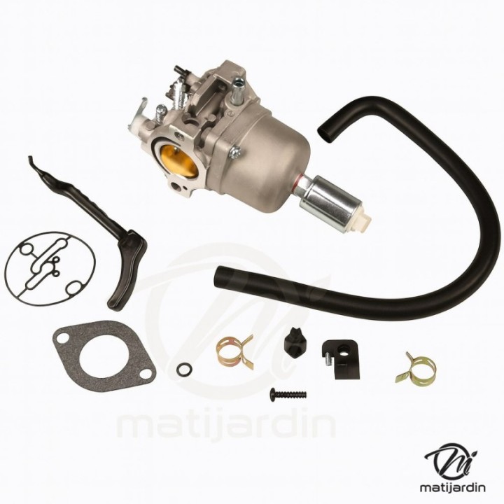 Carburateur pour moteurs OHV AVS Briggs & Stratton