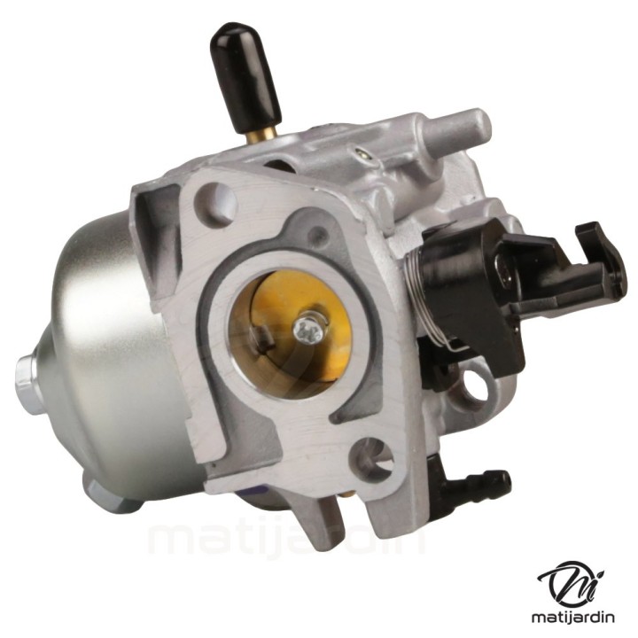 Carburateur complet pour le moteur RATO RV210-S