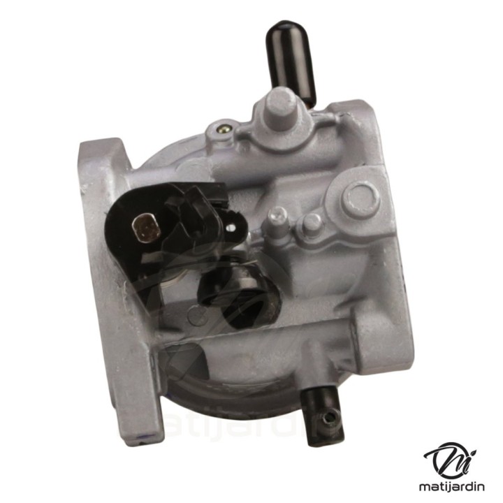 Carburateur complet pour le moteur RATO RV210-S