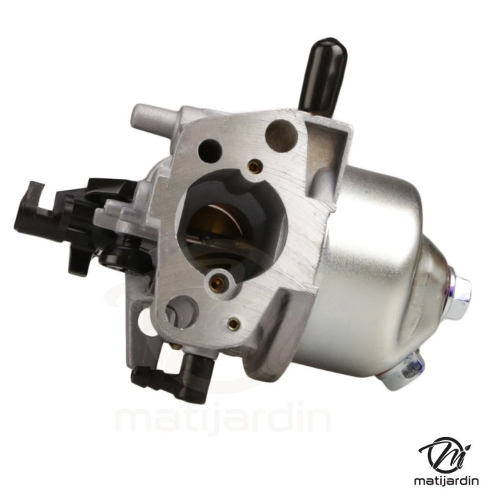 Carburateur complet pour le moteur RATO RV210-S