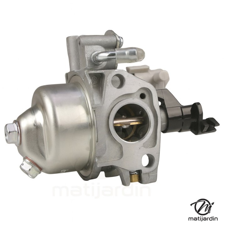 Carburateur complet pour moteur R210