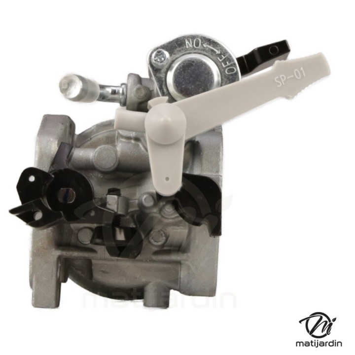 Carburateur complet pour moteur R210