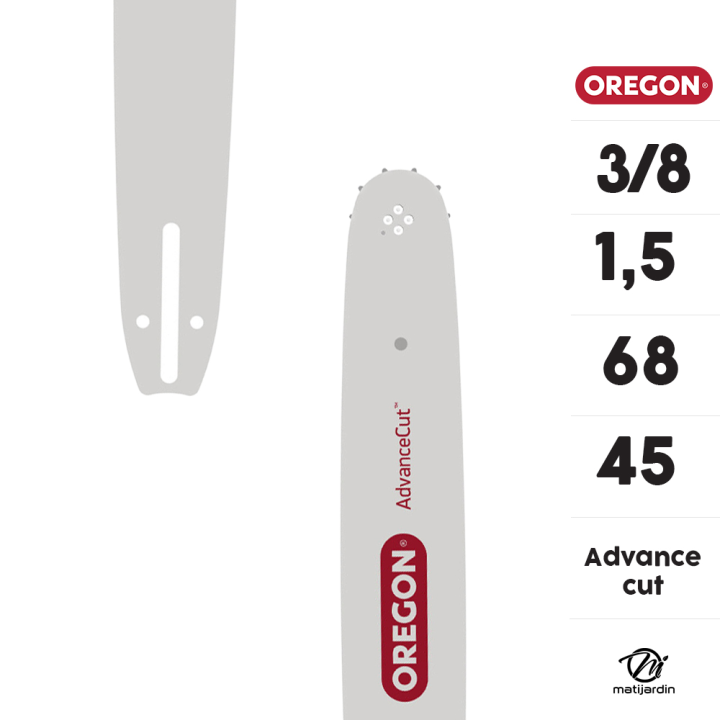Pack Oregon : guide 160SDEA074 + 2 chaînes 91P055E pour tronçonneuse