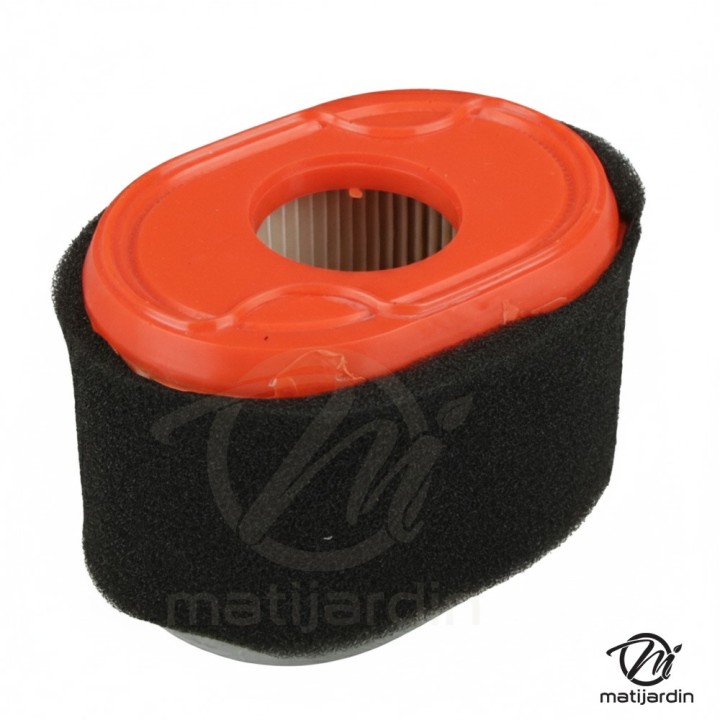 Filtre à air moteur série 550 – équivalent Briggs 796970