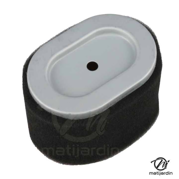 Filtre à air moteur série 550 – équivalent Briggs 796970