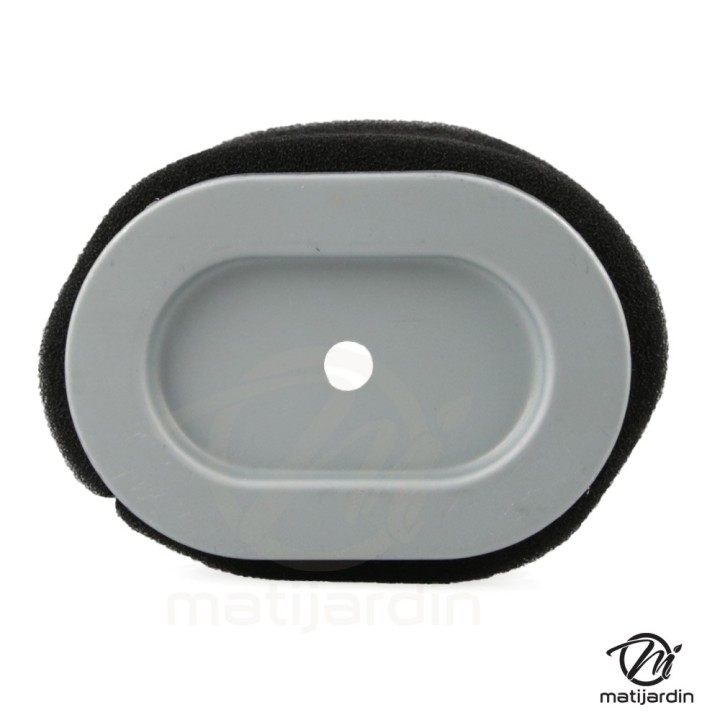 Filtre à air moteur série 550 – équivalent Briggs 796970