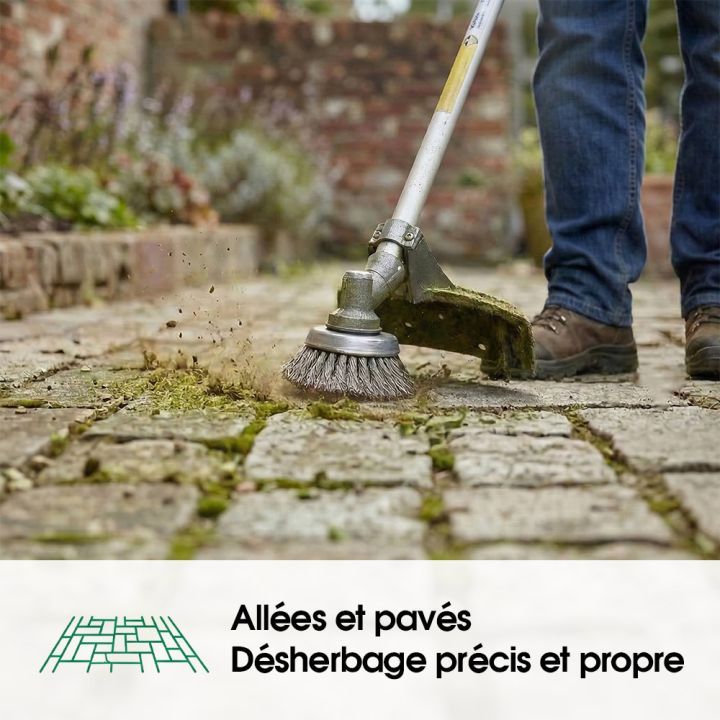Tête brosse désherbage débroussailleuse Master 360 Universelle Ø 230 mm Alésage 20 mm