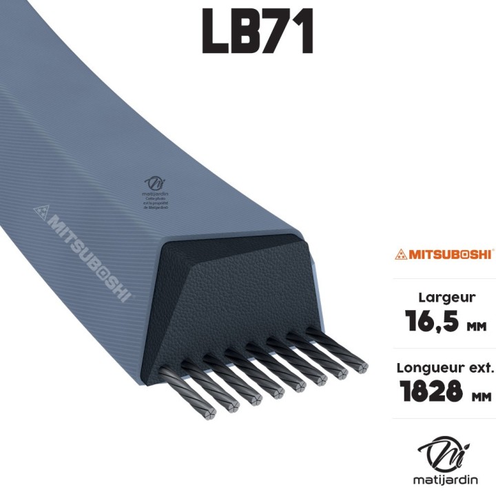 Courroie tondeuse Mitsuboshi LB71 - 16,5 mm x 1815 mm