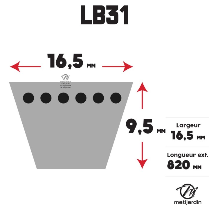 Courroie tondeuse Mitsuboshi LB31 - 16,5 mm x 799 mm