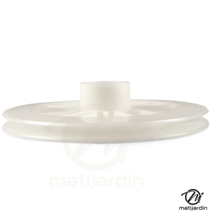 Poulie lanceur pour moteur Briggs & Stratton 295871