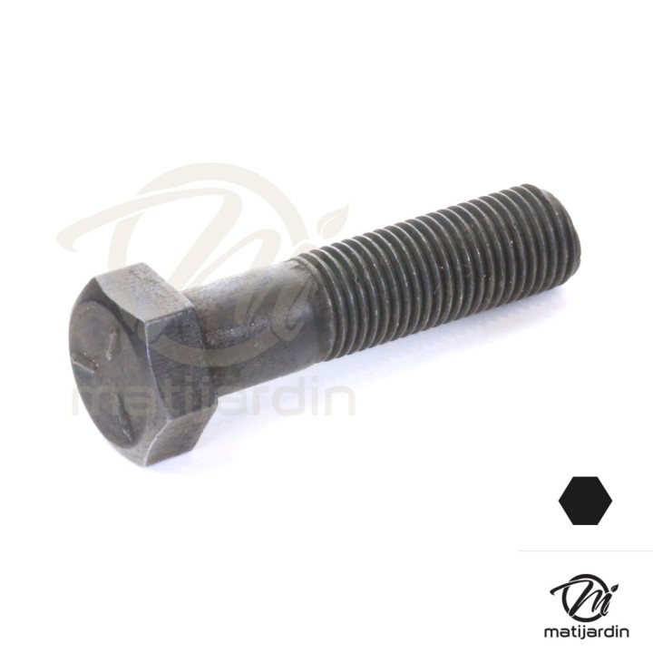 Vis de lame pour Castelgarden. Ø 9,5 mm