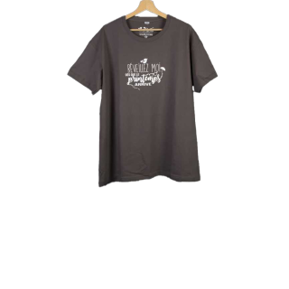 T-shirt taille XL. Coloris gris. Réveillez moi dès que le printemps arrive