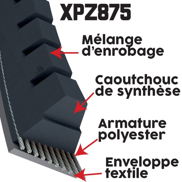 Courroie tondeuse Trapézoïdale crantée XPZ875 - 9,7 mm x 887 mm