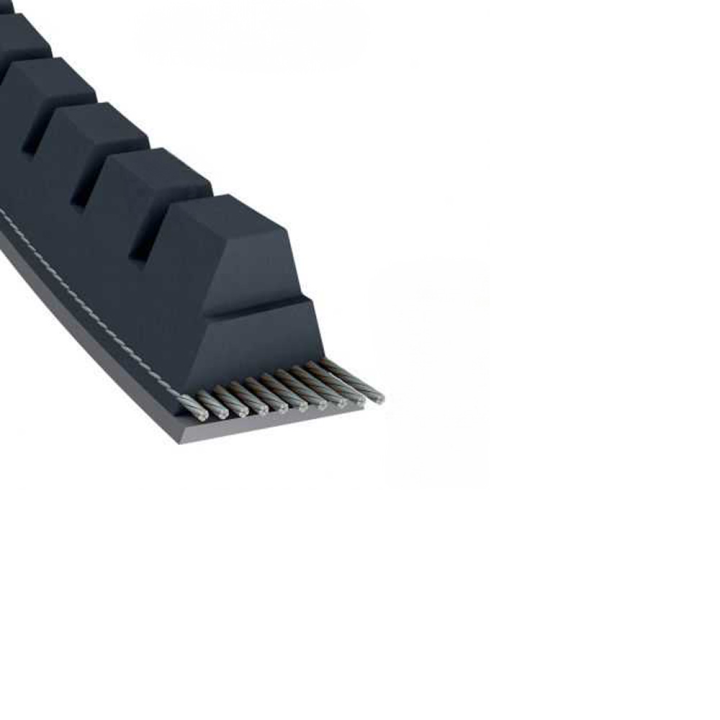 Courroie tondeuse Trapézoïdale crantée XPA900 - 12,7 mm x 917 mm