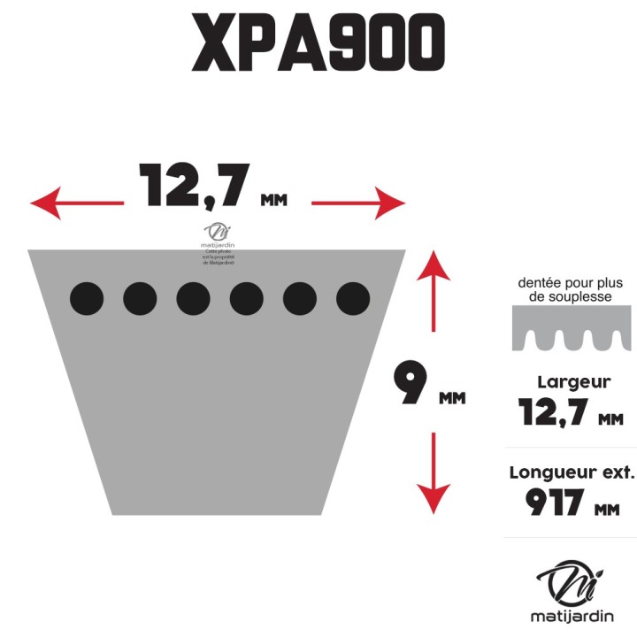 Courroie tondeuse Trapézoïdale crantée XPA900 - 12,7 mm x 917 mm