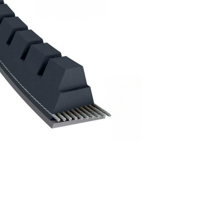 Courroie tondeuse Trapézoïdale Crantée XPA800 - 12,7 mm x 817 mm