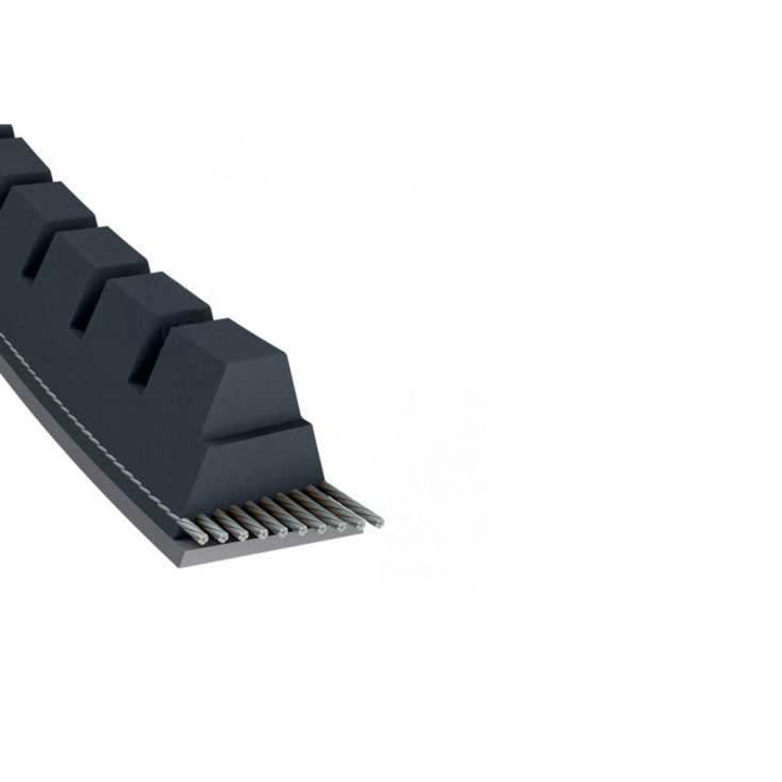 Courroie tondeuse Trapézoïdale crantée XPZ800 - 9,7 mm x 812 mm