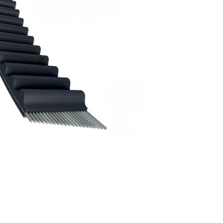 Courroie tondeuse Simple Denture 1760 -8M20 - Larg : 20 mm x 1760 mm