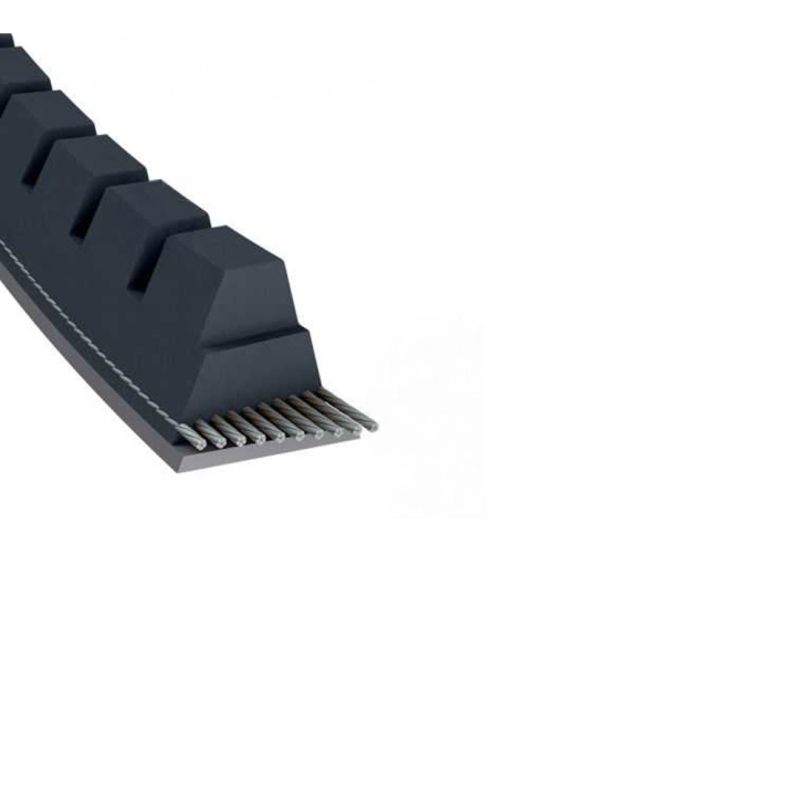 Courroie tondeuse Trapézoïdale crantée XPZ1250 - 9,7 mm x 1262 mm