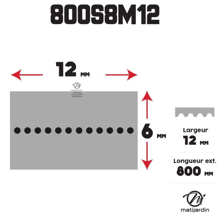 Courroie tondeuse simple denture 800 -S8M12 n° 9585 -0164 -01