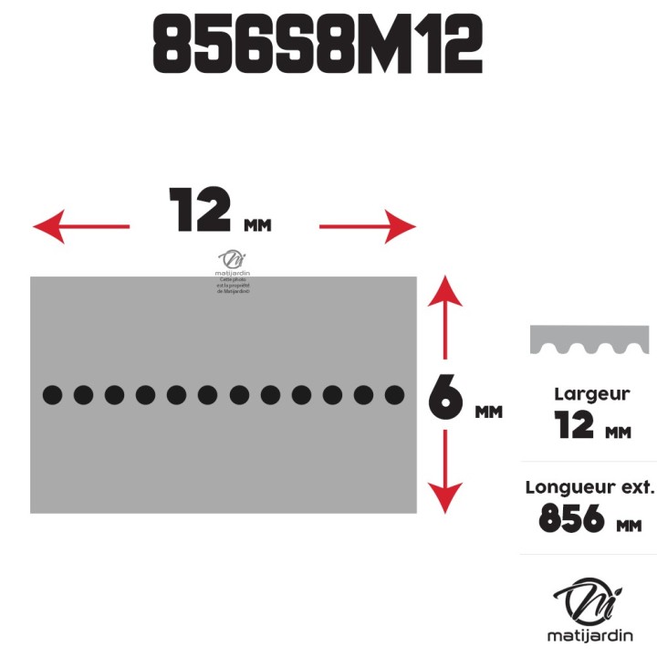 Courroie tondeuse simple denture 856 -S8M12 n° 9585 -0165 -01
