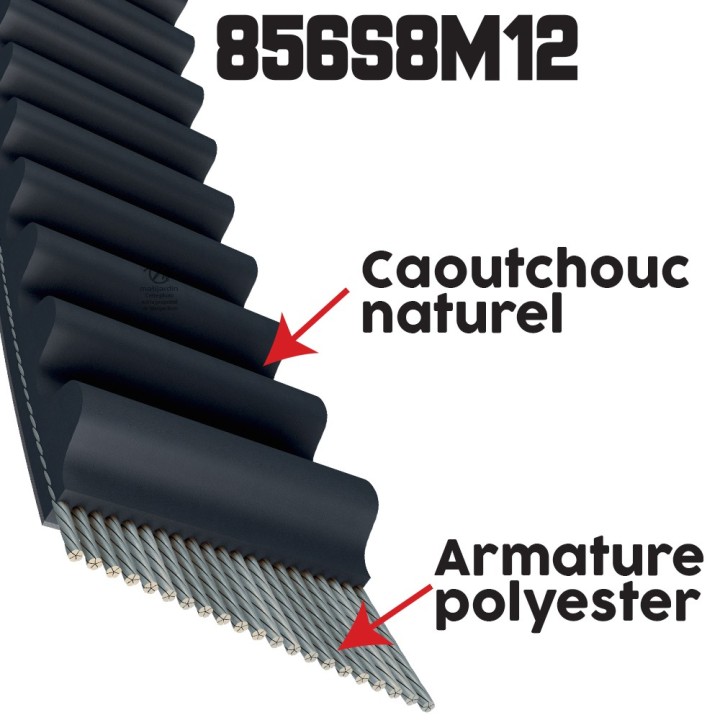 Courroie tondeuse simple denture 856 -S8M12 n° 9585 -0165 -01