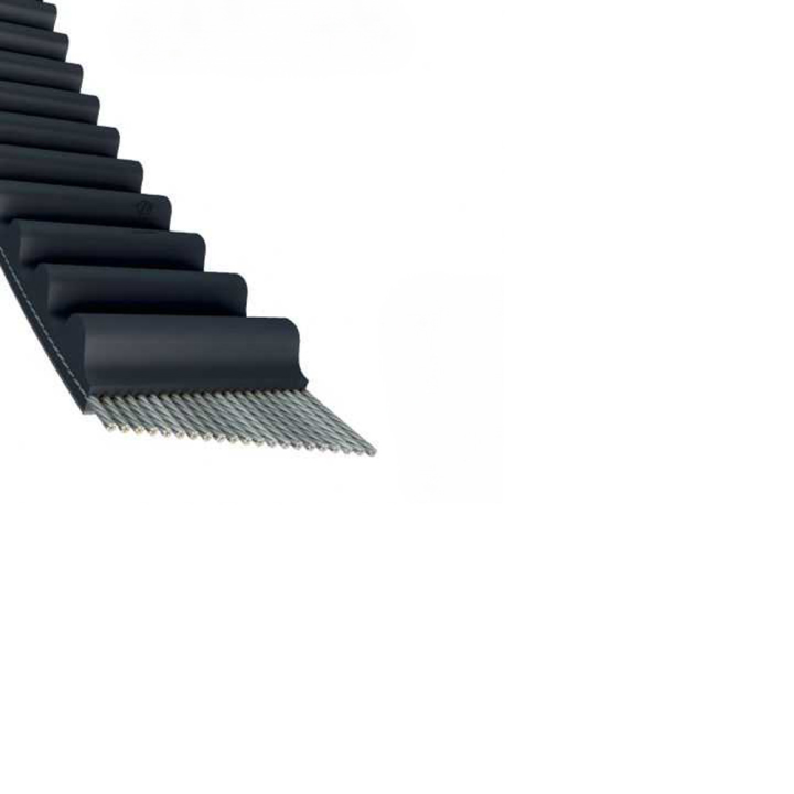 Courroie tondeuse simple denture 1360 -S8M12 n° 9585 -0163 -01