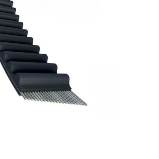 Courroie tondeuse simple denture 1248 -S8M12 n° 9585 -0162 -01