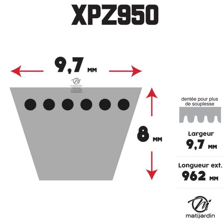 Courroie tondeuse Trapézoïdale crantée XPZ950 - 9,7 mm x 962 mm