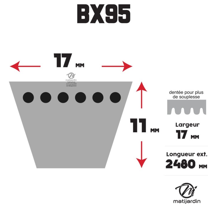 Courroie tondeuse Trapézoïdale crantée BX95 - 17 mm x 2480 mm