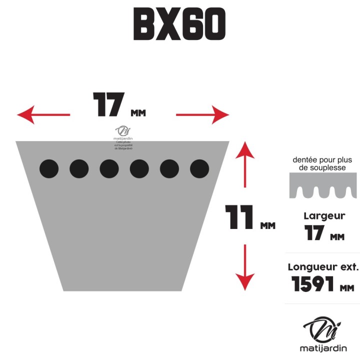 Courroie tondeuse Trapézoïdale crantée BX60 - 17 mm x 1591 mm