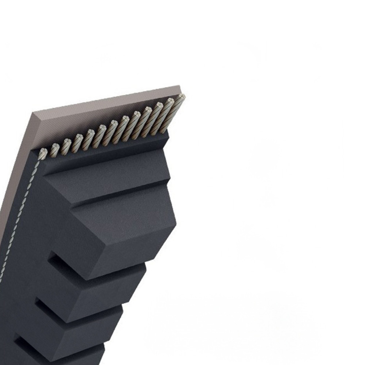 Courroie tondeuse Trapézoïdale crantée BX55 - 17 mm x 1464 mm