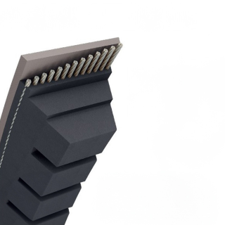 Courroie tondeuse Trapézoïdale crantée BX48 - 17 mm x 1286 mm