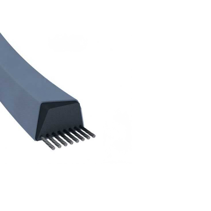 Courroie tondeuse Trapézoïdale Z44 - 10 mm x 1158 mm