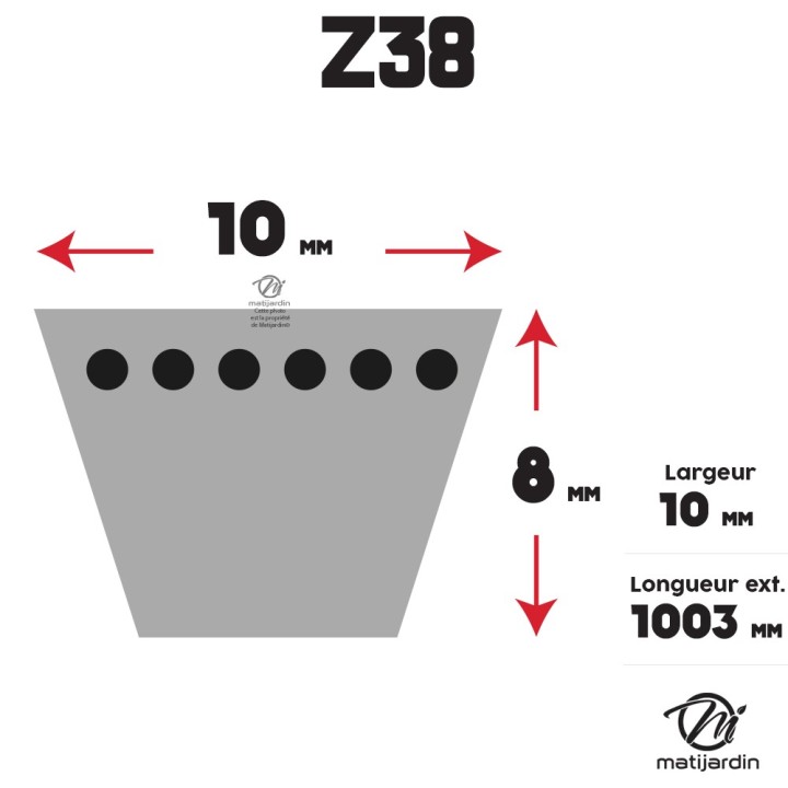 Courroie tondeuse Trapézoïdale Z38 - 10 mm x 1003 mm