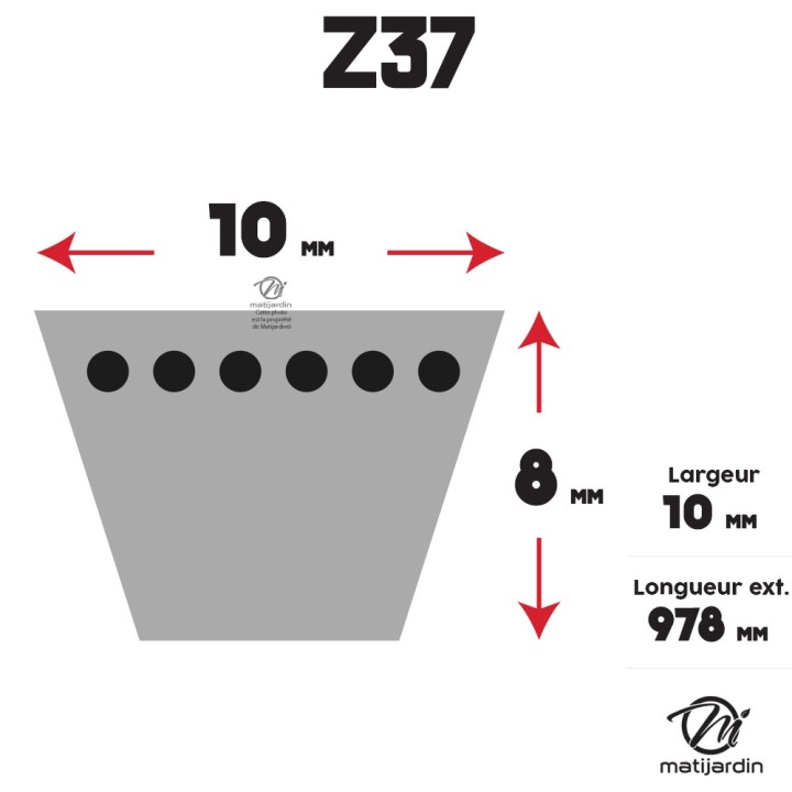 Courroie tondeuse Trapézoïdale Z37 - 10 mm x 978 mm