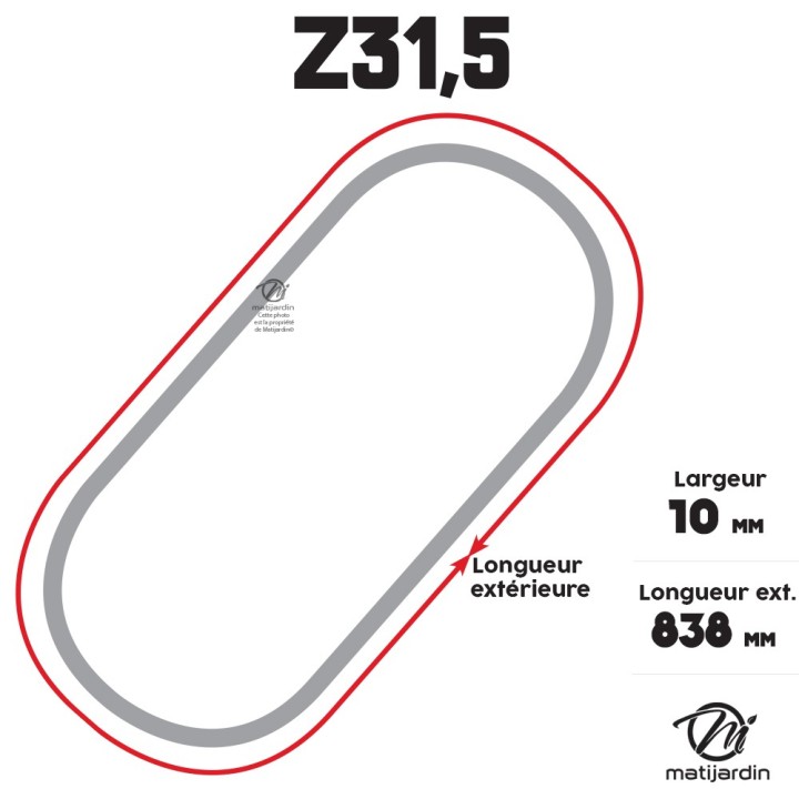 Courroie tondeuse Trapézoïdale Z31,5 - 10 mm x 838 mm