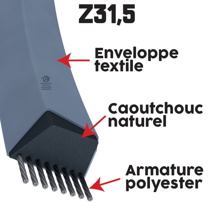 Courroie tondeuse Trapézoïdale Z31,5 - 10 mm x 838 mm