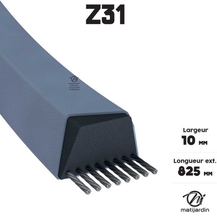 Courroie tondeuse Trapézoïdale Z31 - 10 mm x 825 mm