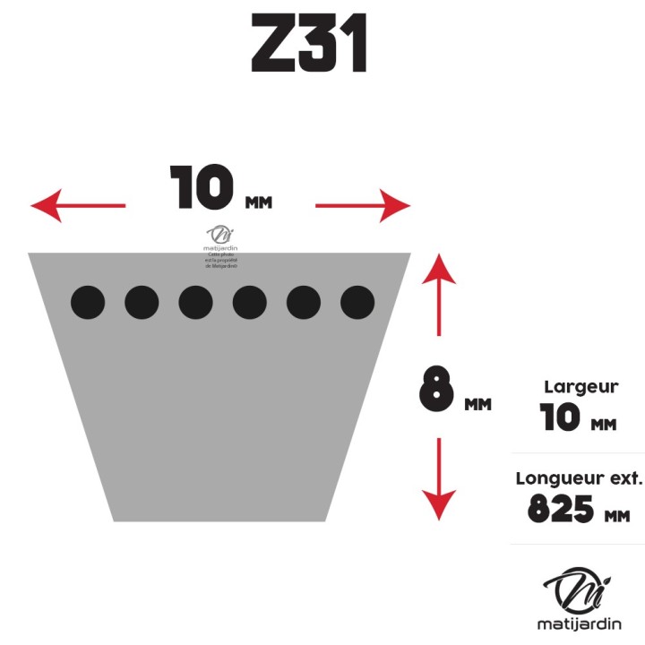 Courroie tondeuse Trapézoïdale Z31 - 10 mm x 825 mm